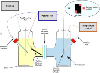 Propionate Production by Bioelectrochemically-Assisted Lactate Fermentation and Simultaneous CO2 Recycling